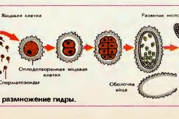 Кракен сбой